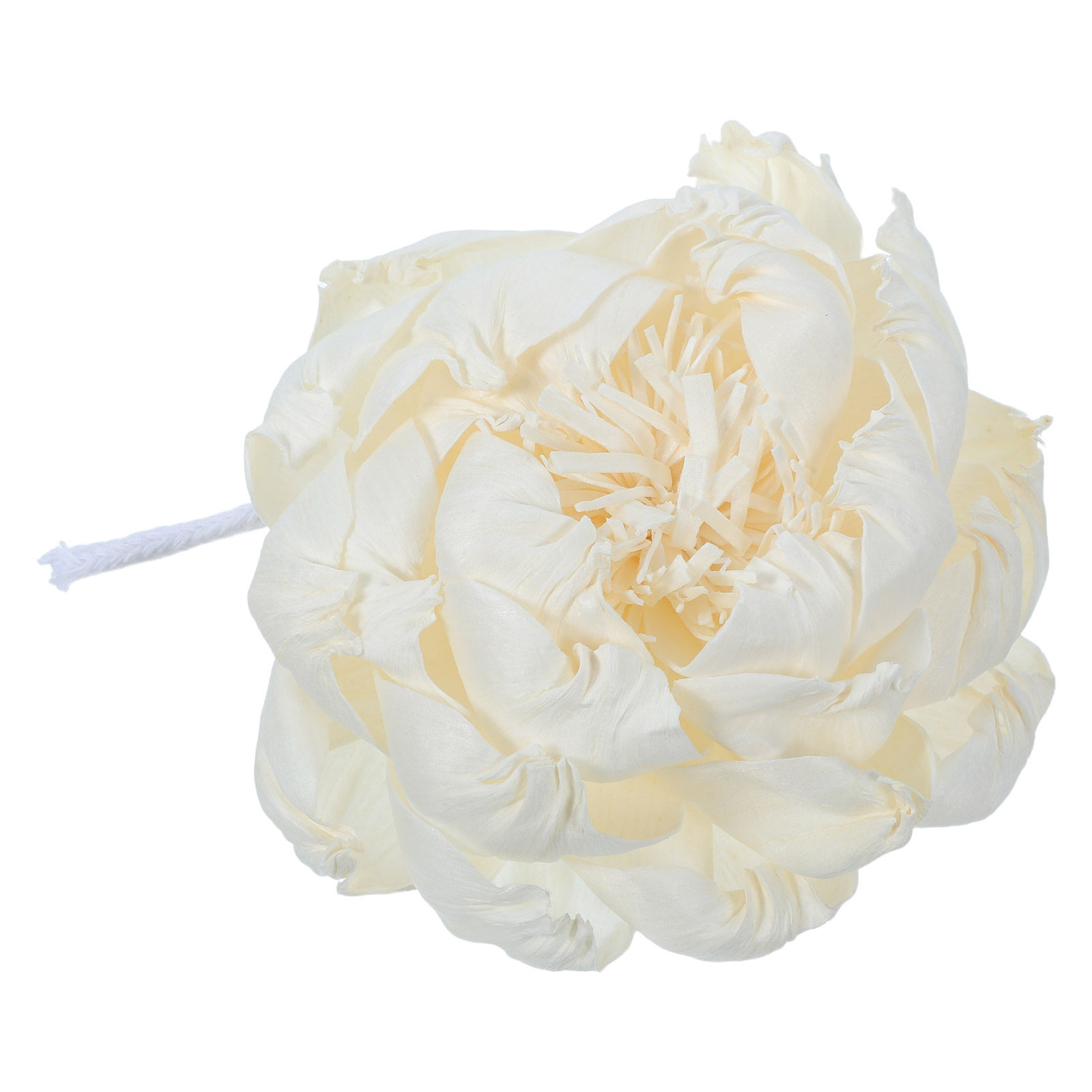 Difusor de Aroma con Cabeza de - Home Fragrances reseña y precio
