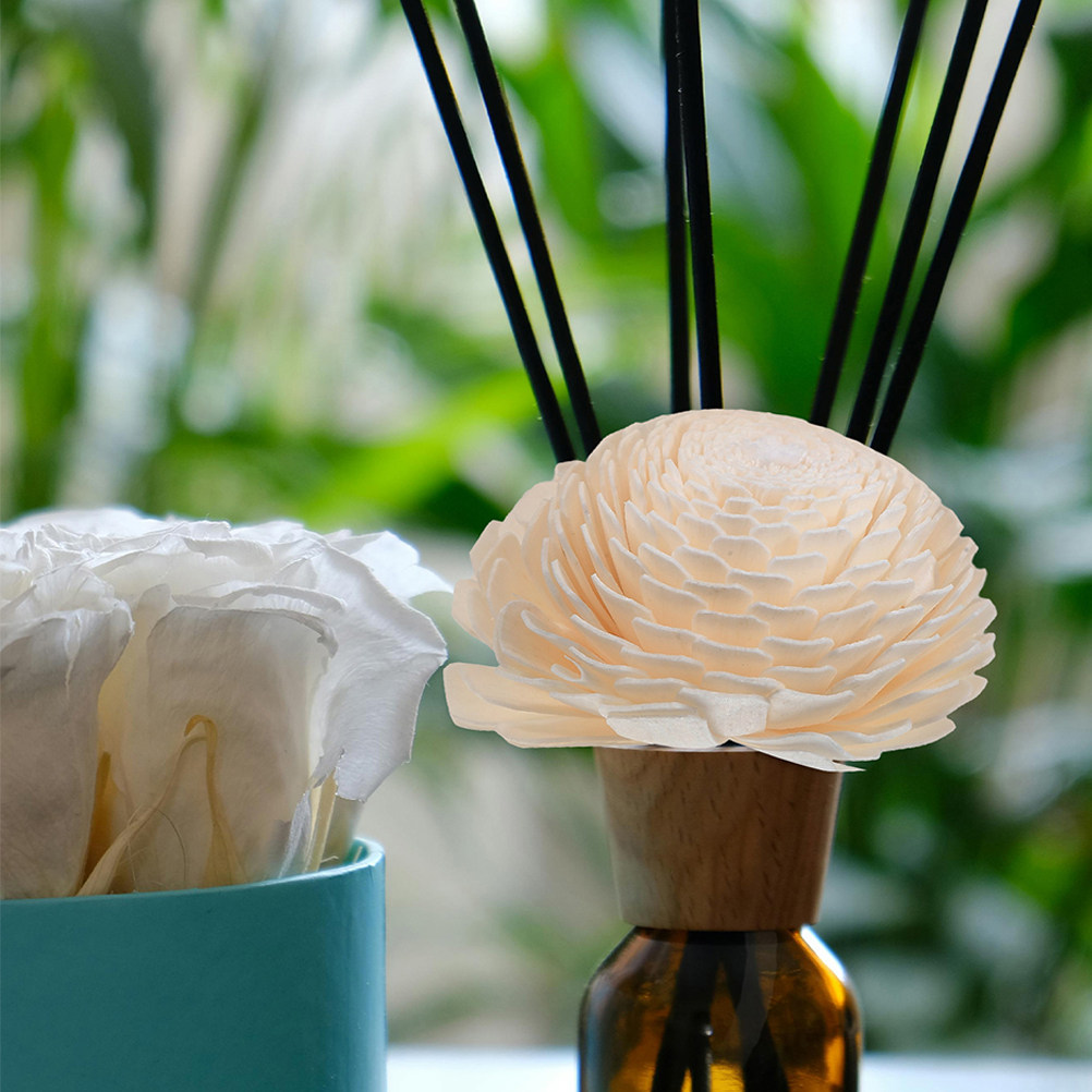 2 unidades de cabezas de difus - Home Fragrances reseña y precio