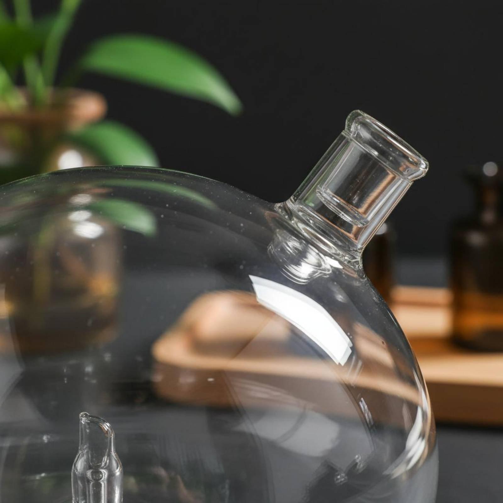 Botella Difusora de Vidrio de  - Home Fragrance Bottle reseña y precio